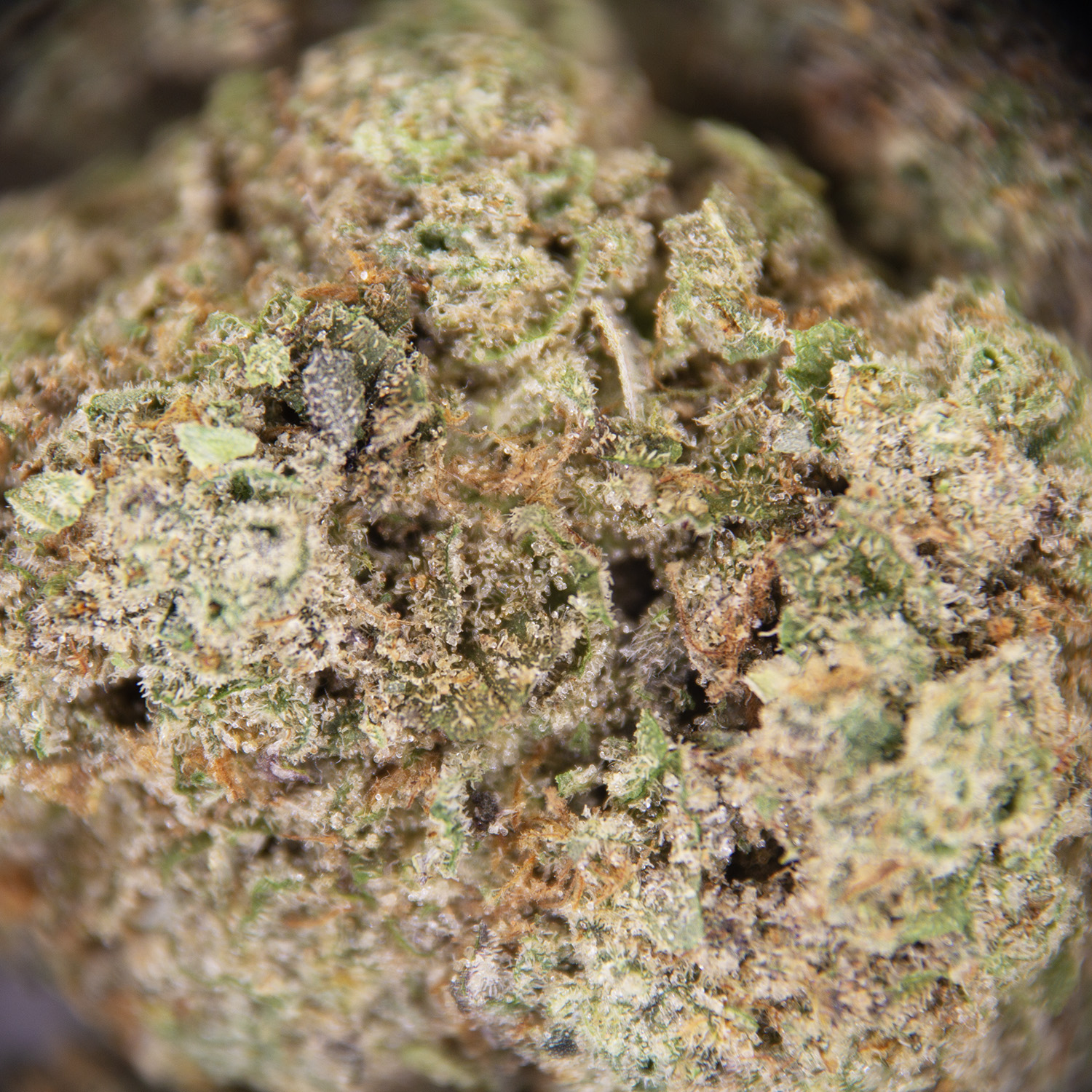 Donkey Butter AAA- - Image 2