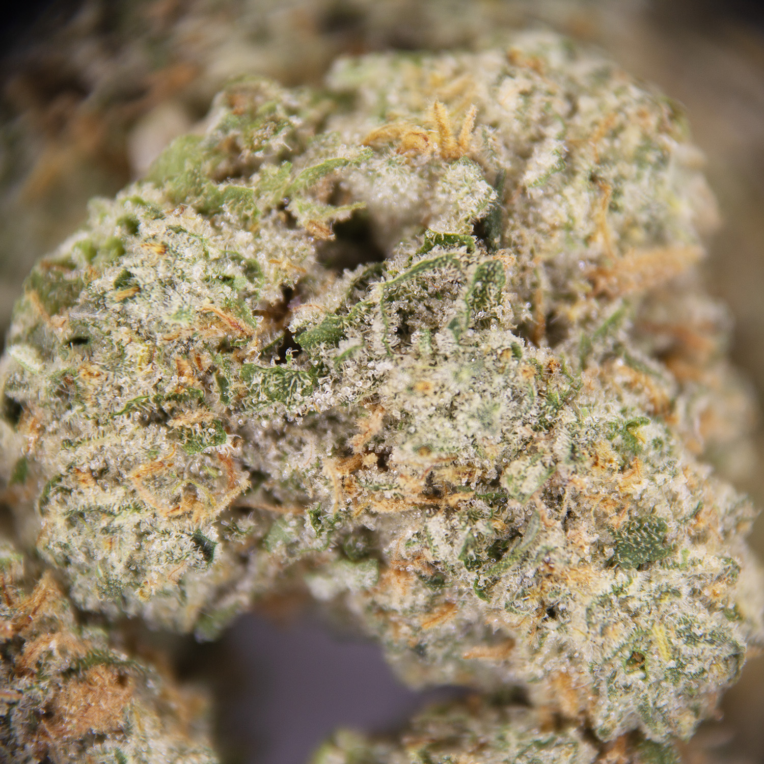 Blackberry Diesel (smalls) AAA - Image 2