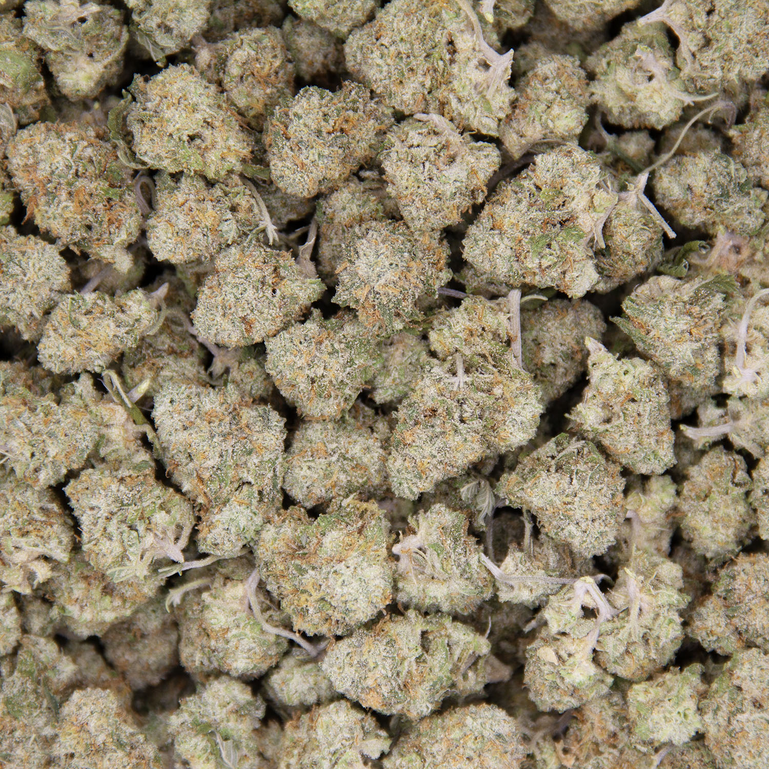 Blackberry Diesel (smalls) AAA - Image 3