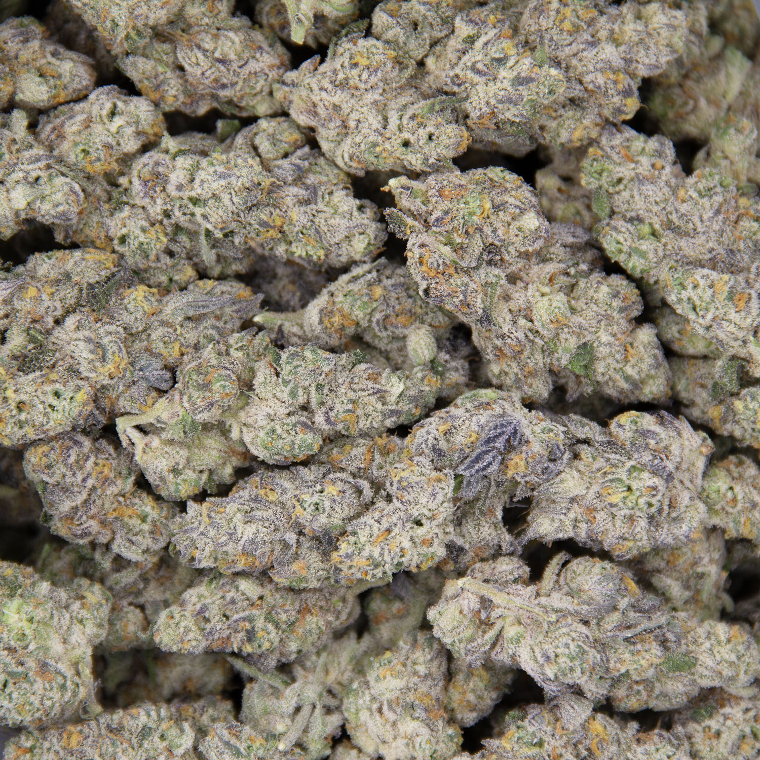 Grape Slurpee AAA - Image 3