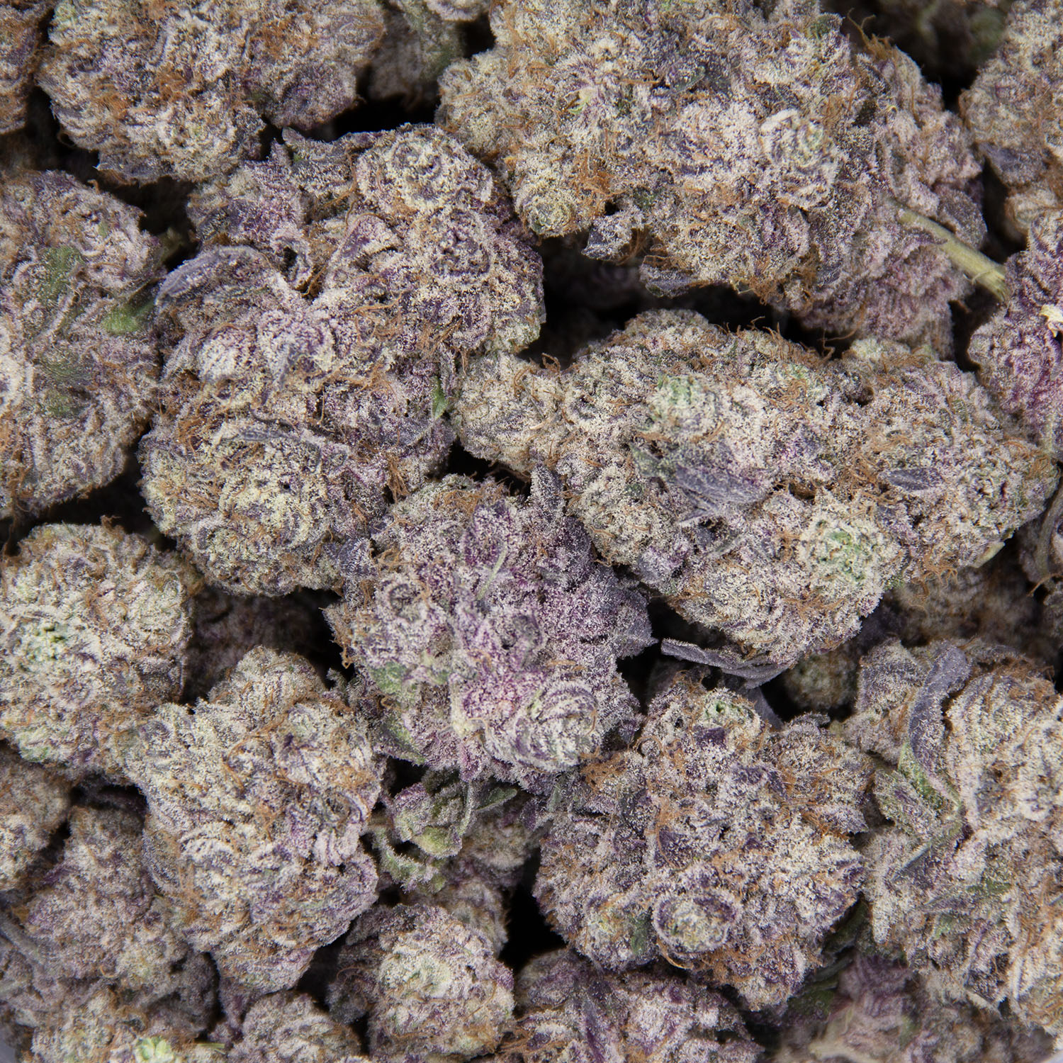 Jordanz AAAA - Image 3