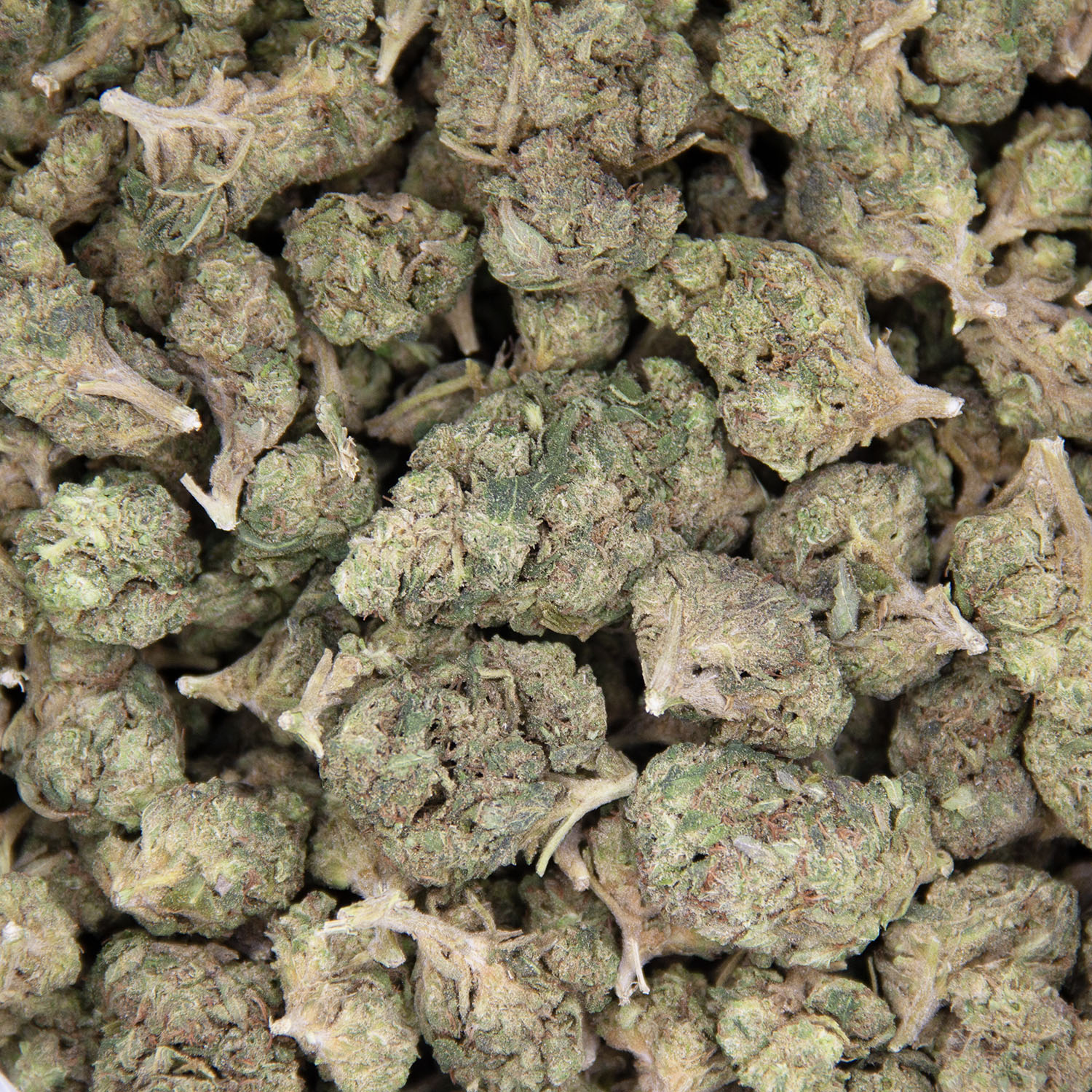 Kush Cake (mediums) AA - Image 3