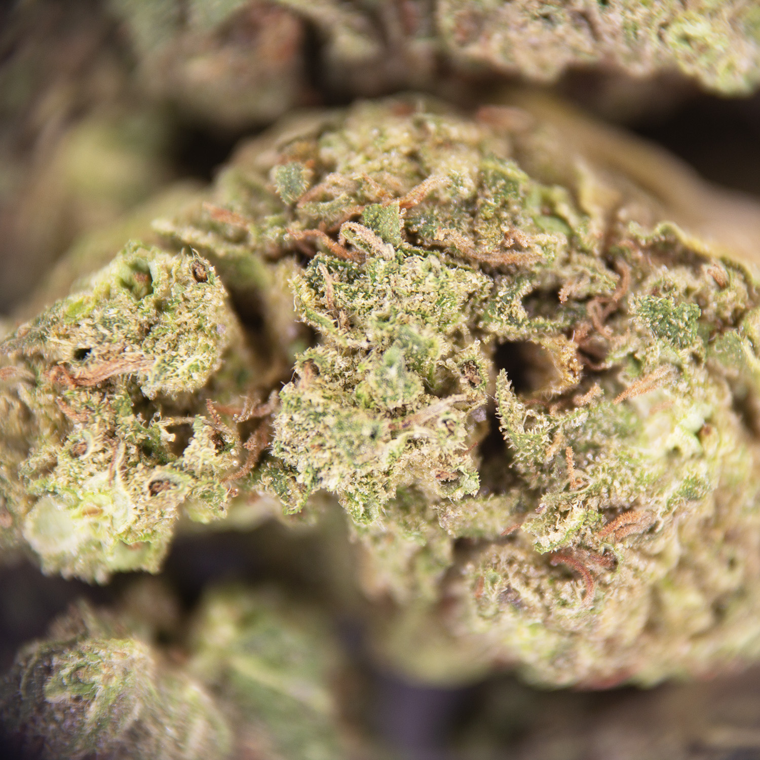 Kush Cake (mediums) AA - Image 2