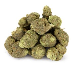 Pineapple Punch (mediums) AA