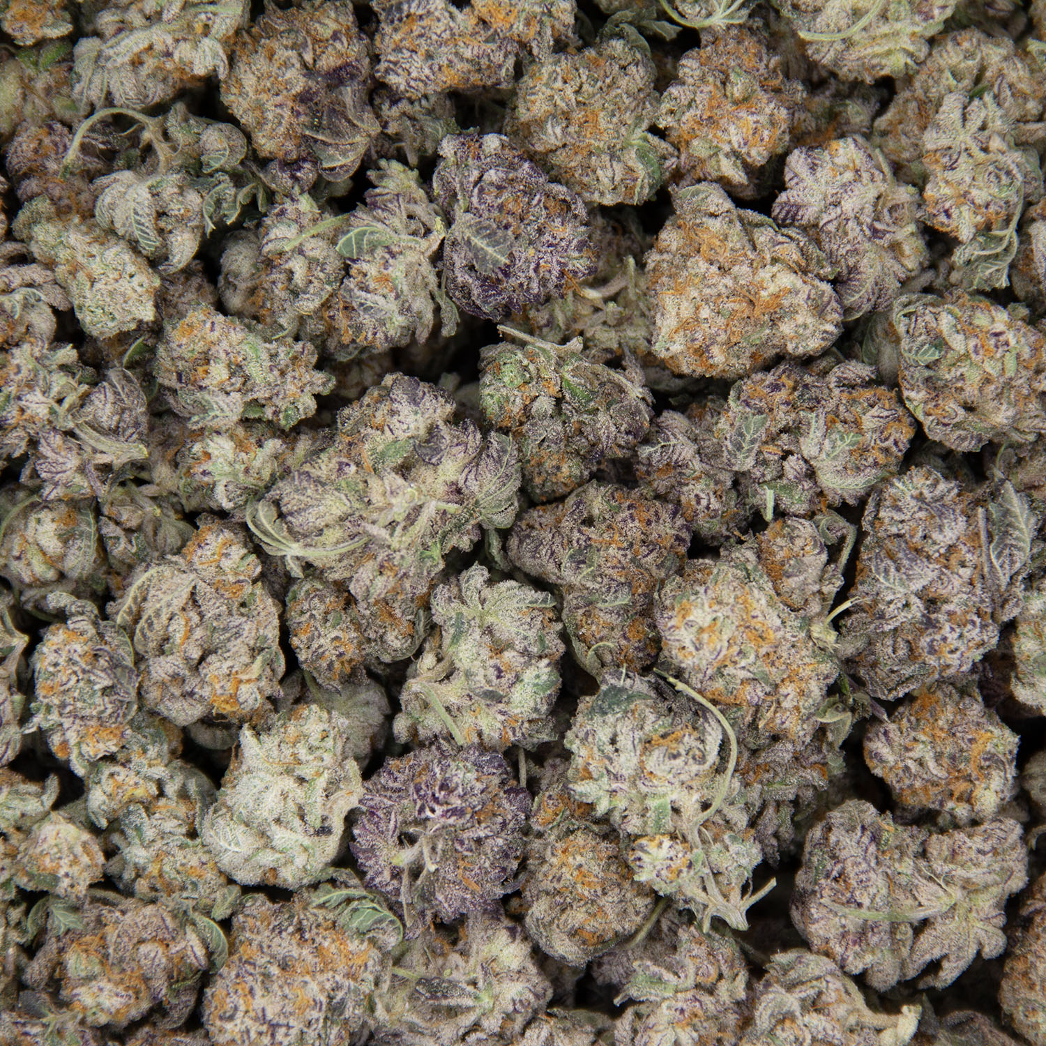 Crystal Coma (popcorn) AAA - Image 3