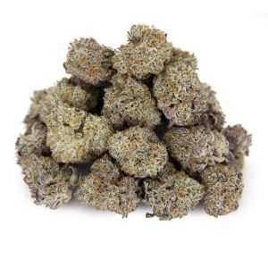 Snowcone (mediums) AAAA