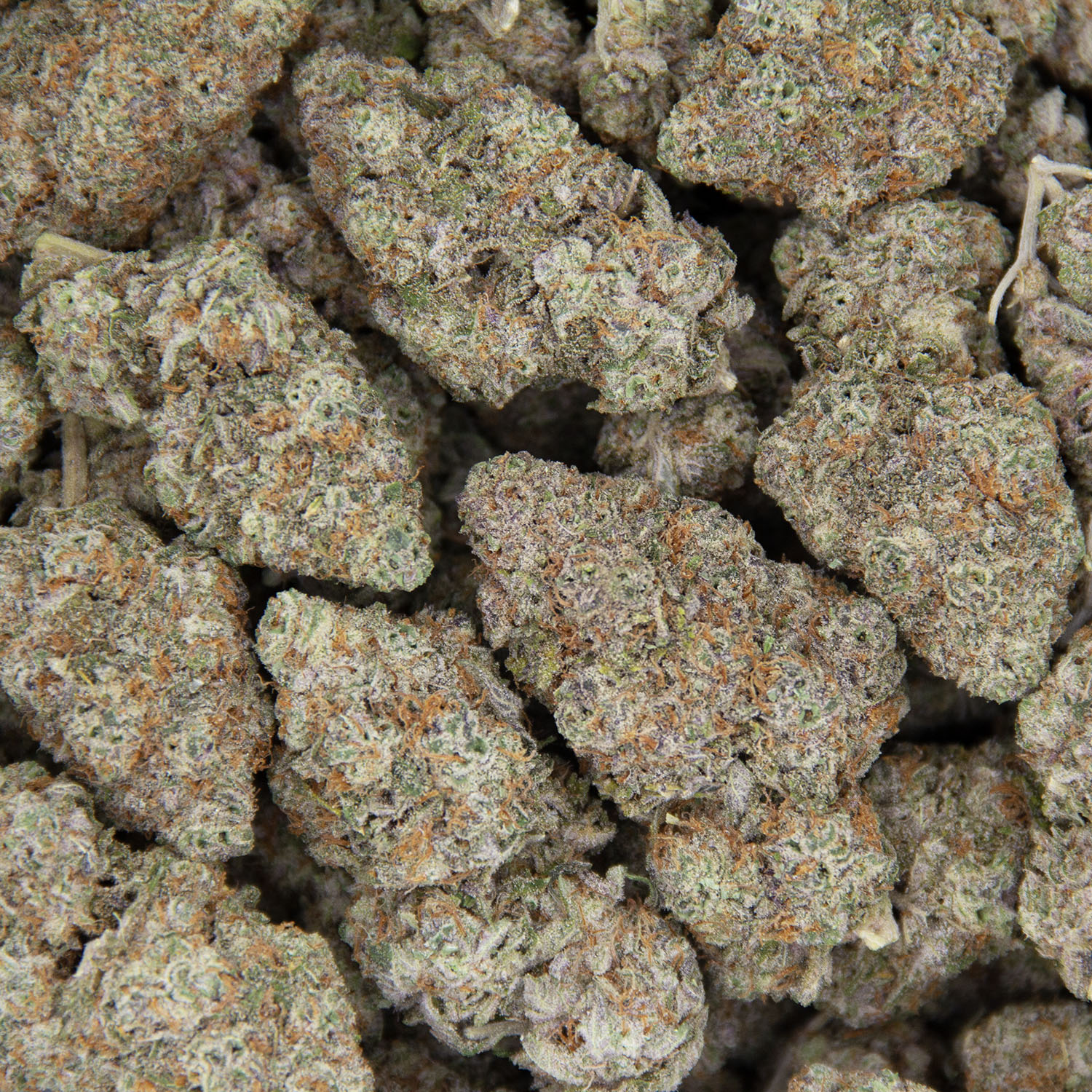 Jet Fuel Gelato AAA - Image 3