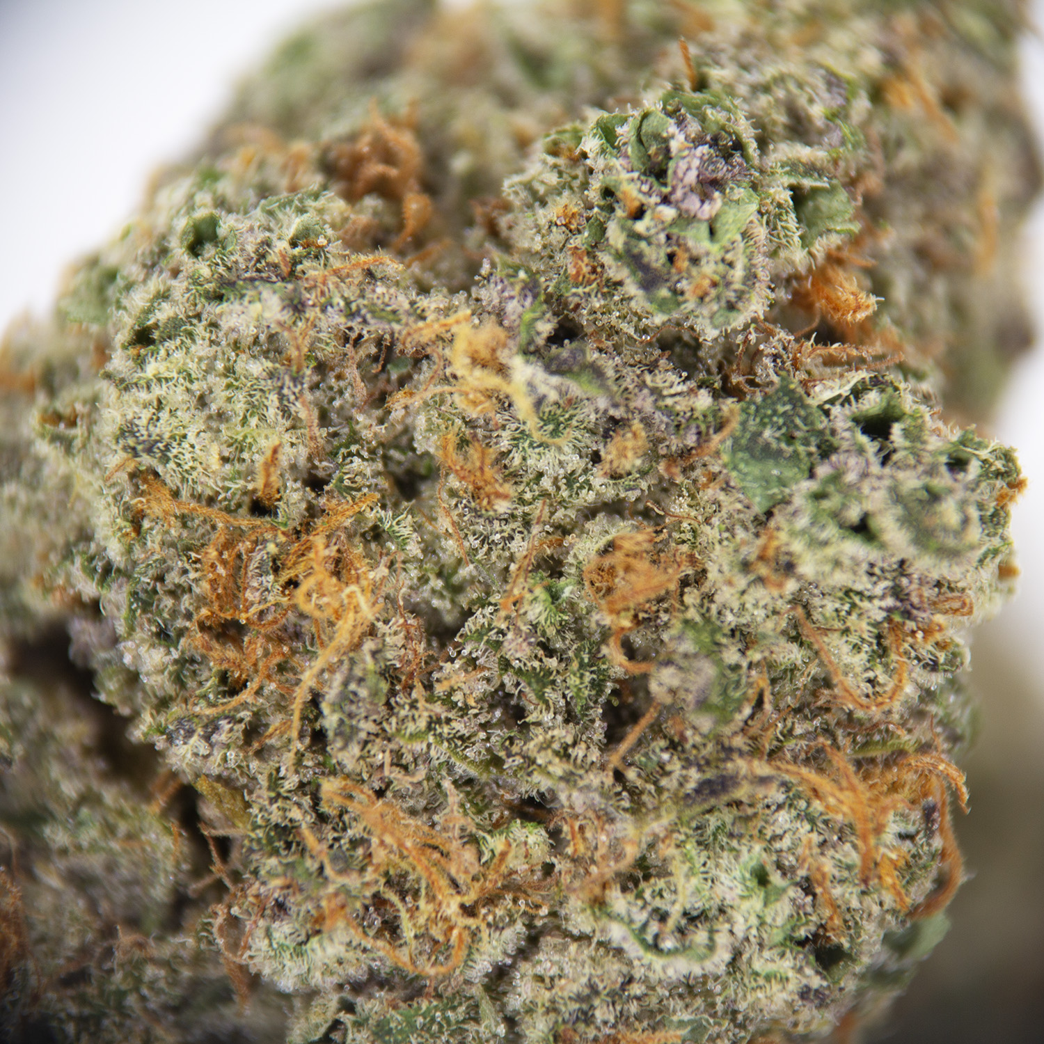 Jet Fuel Gelato AAA - Image 2
