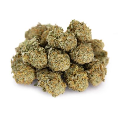 Kosher Kush (mediums) AA