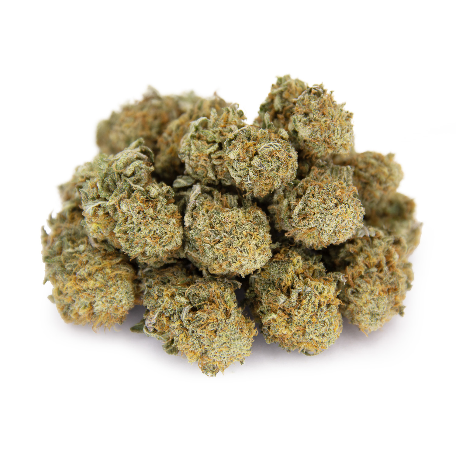 Kosher Kush (mediums) AA