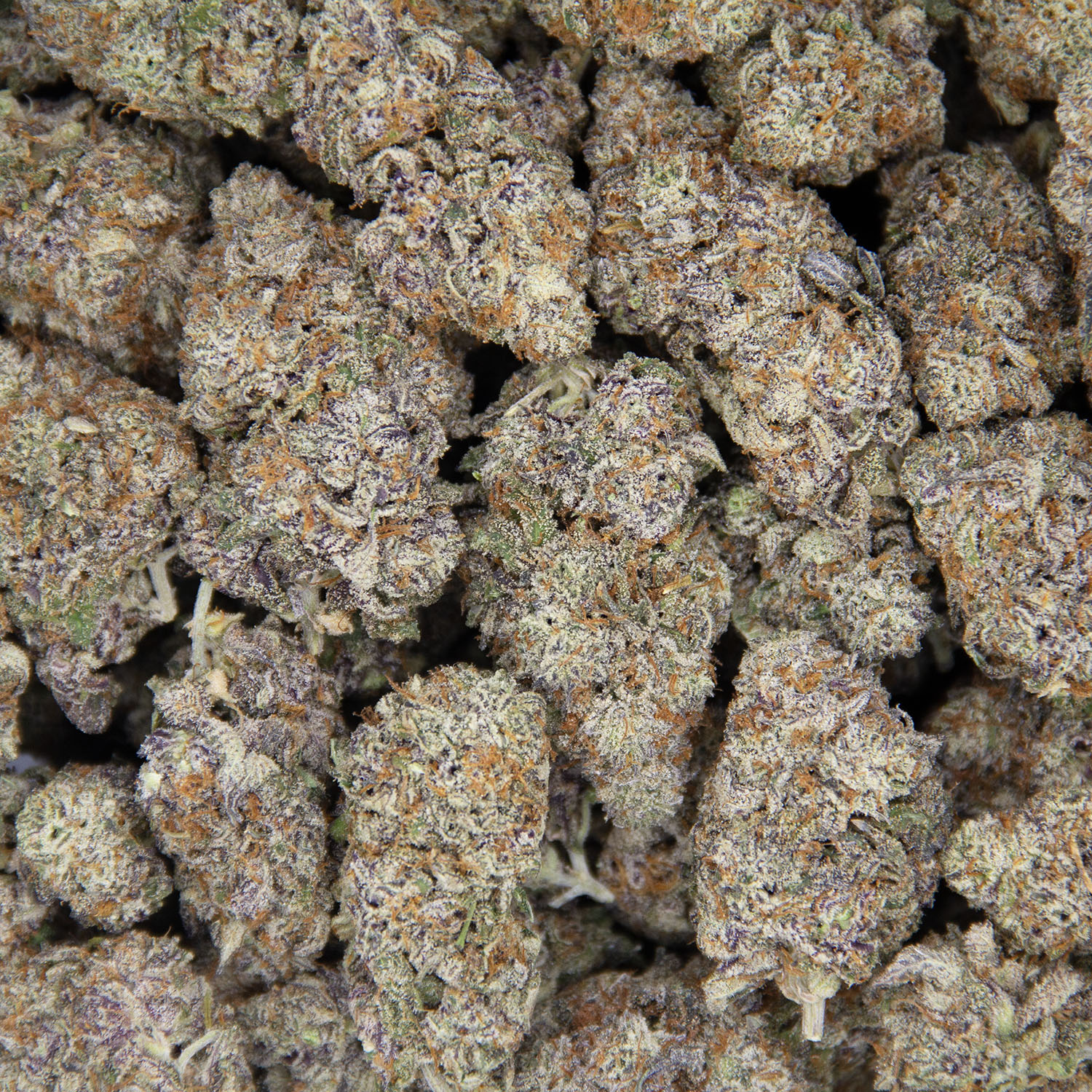 Forbidden Fruit AAA - Image 3