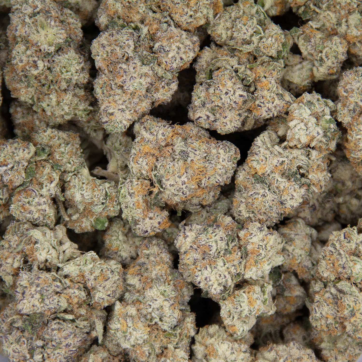White Widow AAA - Image 3